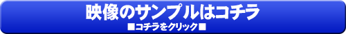 映像サンプルはこちら